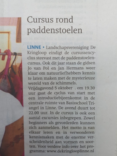 Cursus rond paddestoelen