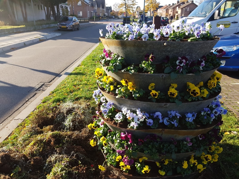 Linne zet de bloemetjes buiten