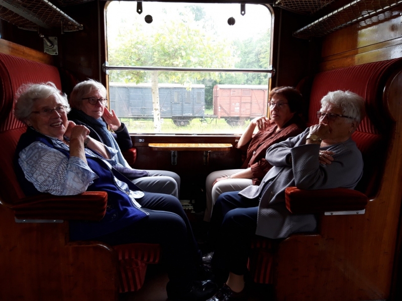 Vakantie Zonnebloem