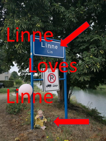 LINNE loves LINNE