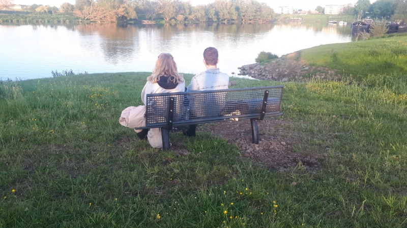 Bank bij Vlootbeek in Linne 